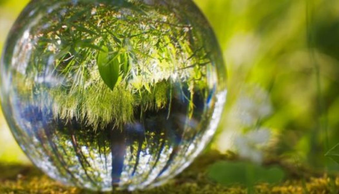 bola-medio-ambiente-696x464-560x300