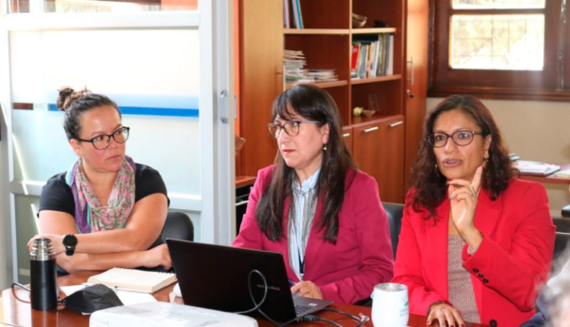 Proyecto-internacional